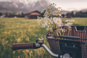 Bicycle stands on the side of a path with freshly picked wild flowers in the basket Bicycle stands on the side of a path with freshly picked wild flowers in the basket